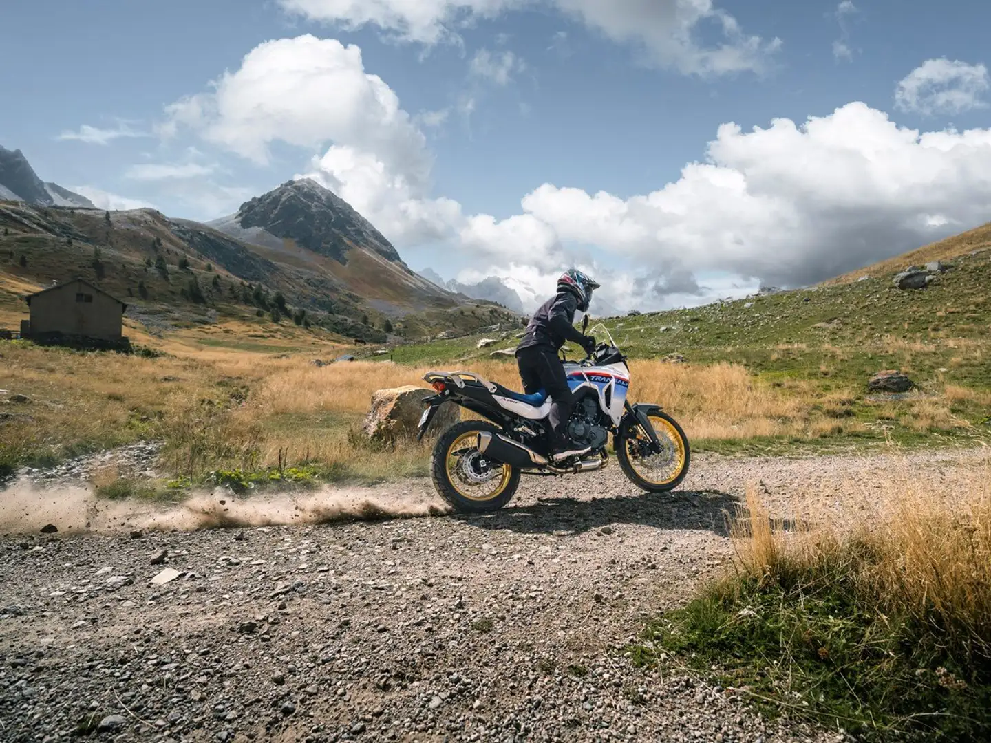 Honda XL 750 Transalp Modell 2024 Tricolor Alb - 2