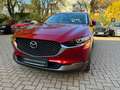 Mazda CX-30 SKYACTIV-G 122 AT SELECTION Leder AHK Rot - thumbnail 6