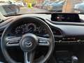 Mazda CX-30 SKYACTIV-G 122 AT SELECTION Leder AHK Rot - thumbnail 31