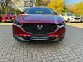 Mazda CX-30 SKYACTIV-G 122 AT SELECTION Leder AHK Rot - thumbnail 12