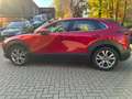 Mazda CX-30 SKYACTIV-G 122 AT SELECTION Leder AHK Rot - thumbnail 11
