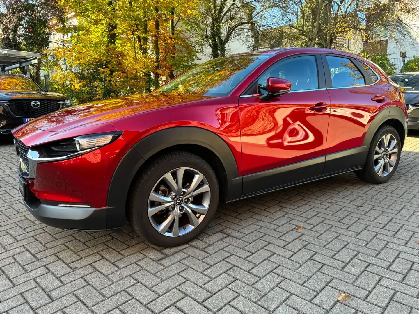 Mazda CX-30 SKYACTIV-G 122 AT SELECTION Leder AHK Rouge - 1