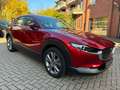 Mazda CX-30 SKYACTIV-G 122 AT SELECTION Leder AHK Rot - thumbnail 5