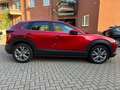 Mazda CX-30 SKYACTIV-G 122 AT SELECTION Leder AHK Rot - thumbnail 4
