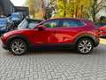 Mazda CX-30 SKYACTIV-G 122 AT SELECTION Leder AHK Rot - thumbnail 2
