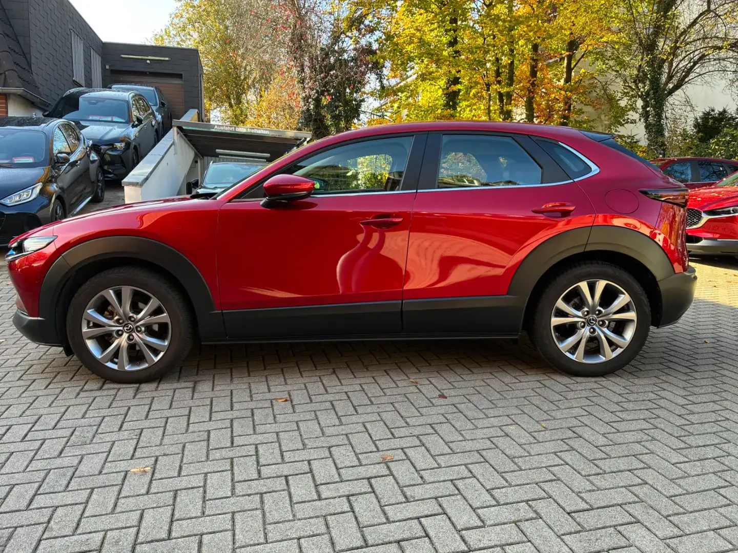 Mazda CX-30 SKYACTIV-G 122 AT SELECTION Leder AHK Rouge - 2