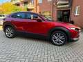 Mazda CX-30 SKYACTIV-G 122 AT SELECTION Leder AHK Rot - thumbnail 3