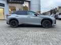 Lexus RZ 550 e DIRECT4 F Sport 2xKlima 360 4xSHZ Grau - thumbnail 2