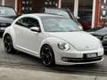 Volkswagen Maggiolino 1.6 tdi Design 105cv-rline Pack-b-color-rate - thumbnail 1
