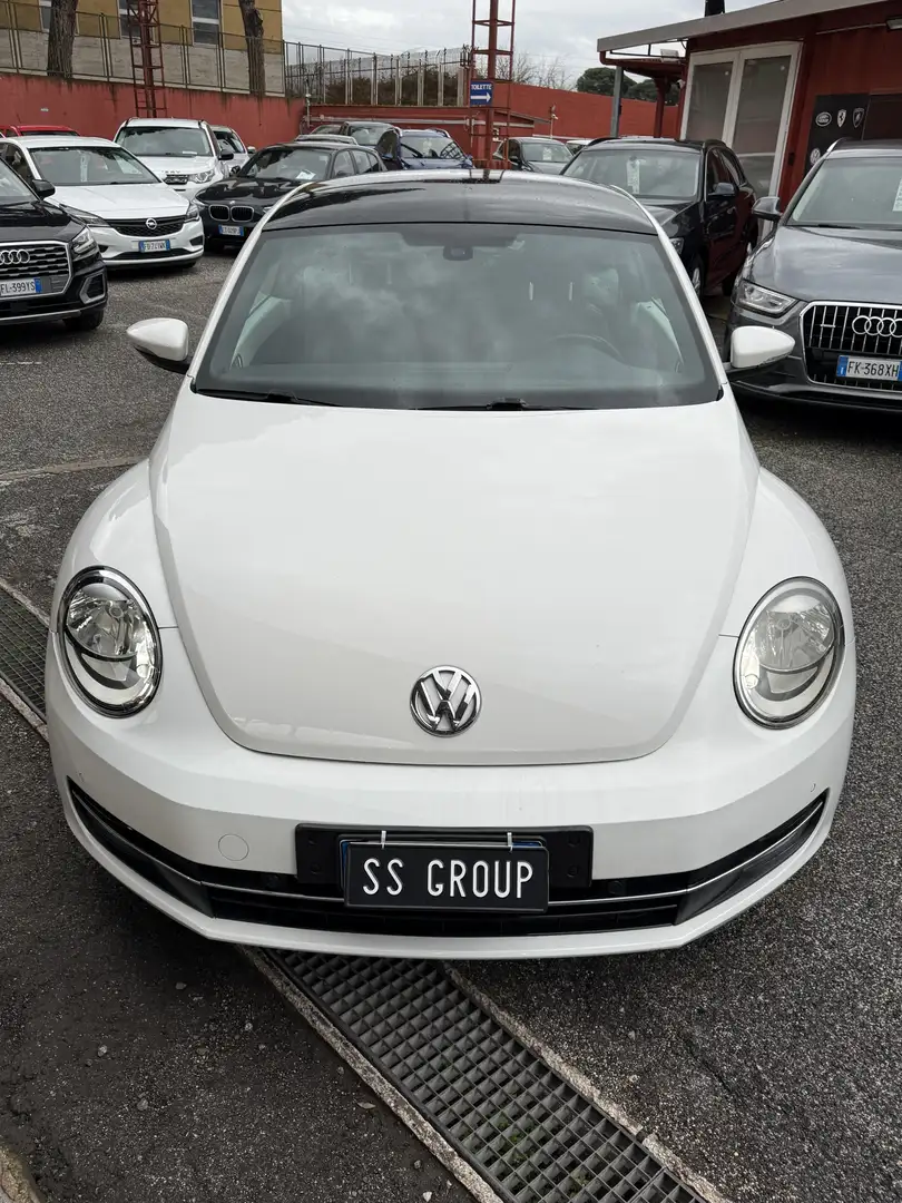 Volkswagen Maggiolino 1.6 tdi Design 105cv-rline Pack-b-color-rate - 2