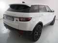 Altro Range Rover Evoque I 2016 - Range Rover Evoque 5p Bianco - thumbnail 9