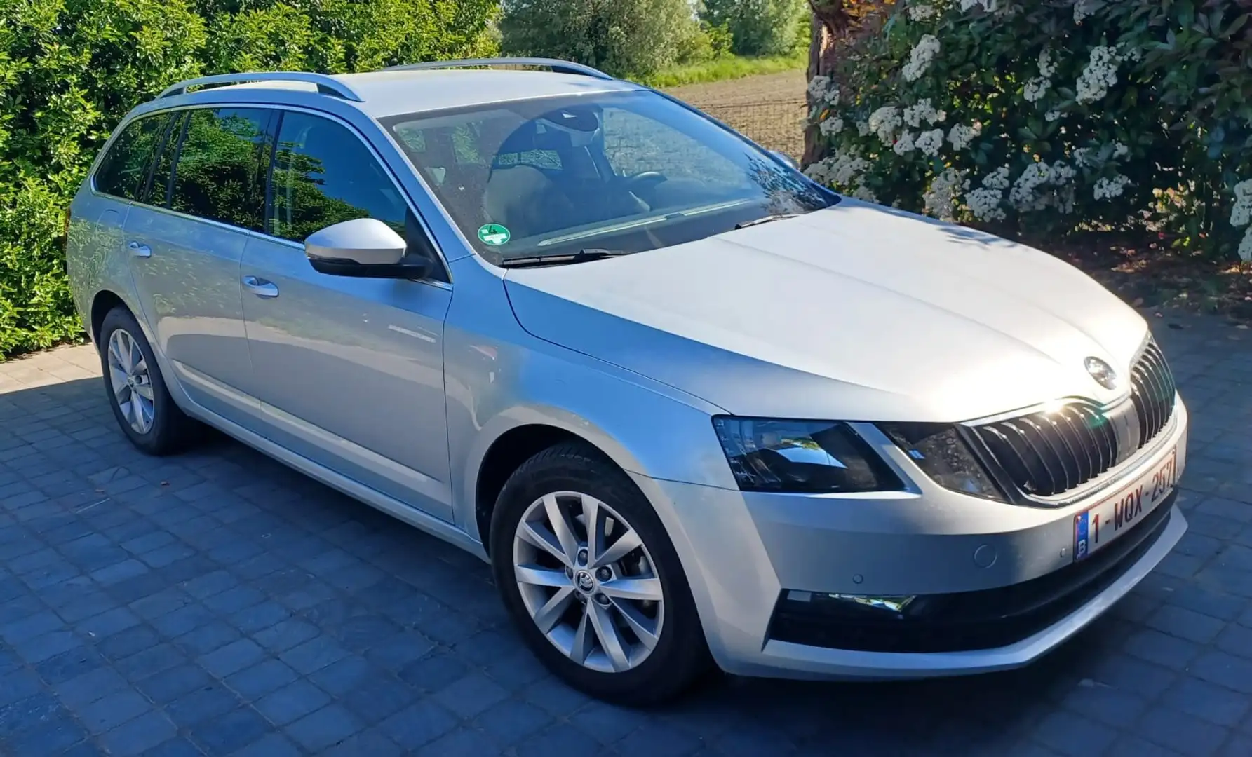 Skoda Octavia Octavia Combi 1.5 TSI G-TEC DSGAmbition Zilver - 1