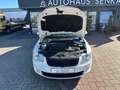 Skoda Superb 2.0 TDI DSG Combi Elegance*BI-XENON*SHZ* Blanc - thumbnail 19