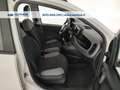 Fiat Panda 1.0 hybrid City Life s&s 70cv 5p.ti Blanc - thumbnail 17