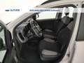 Fiat Panda 1.0 hybrid City Life s&s 70cv 5p.ti Blanc - thumbnail 16