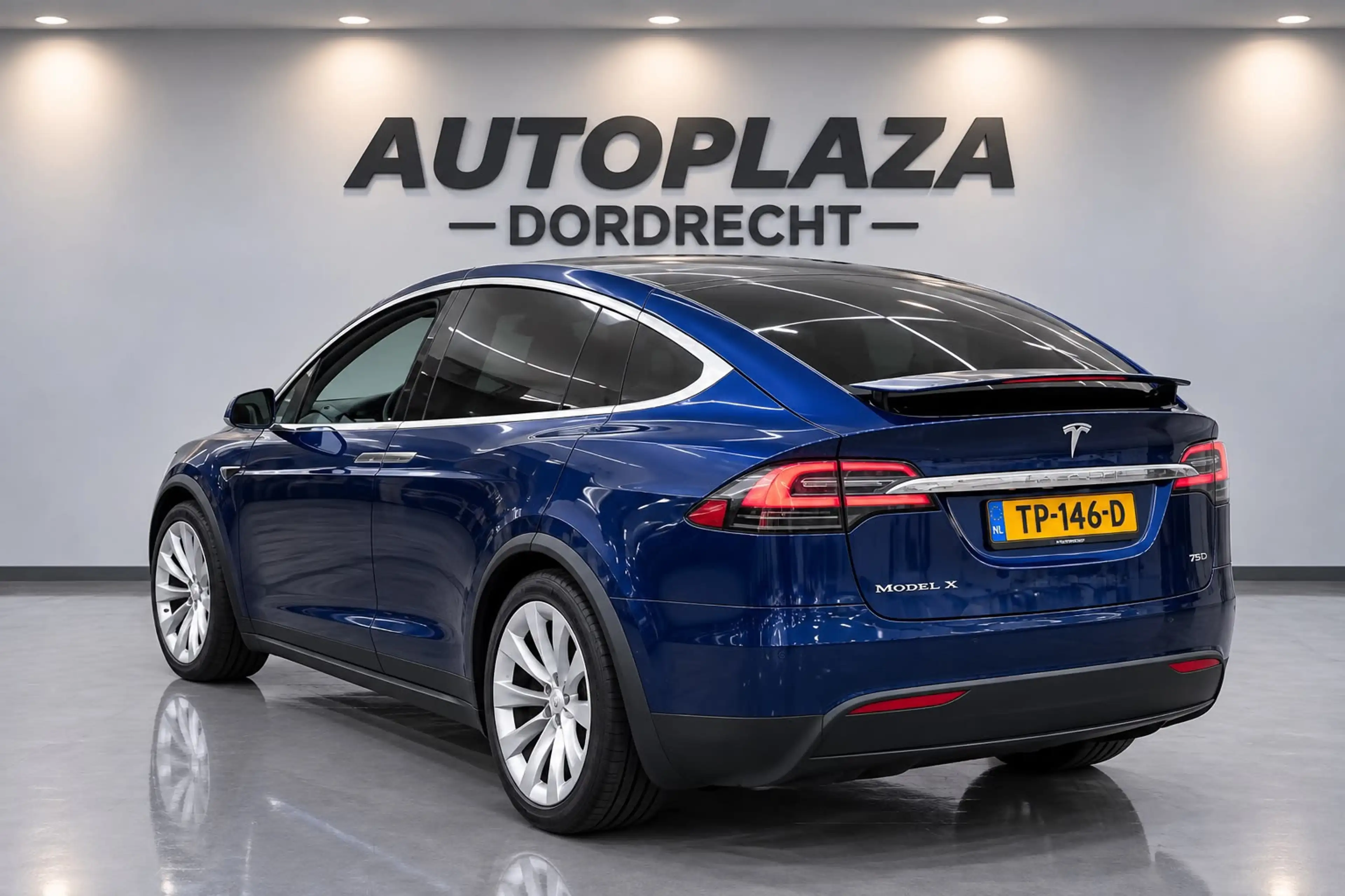Tesla Model X 75D Base 7p. — photo 5
