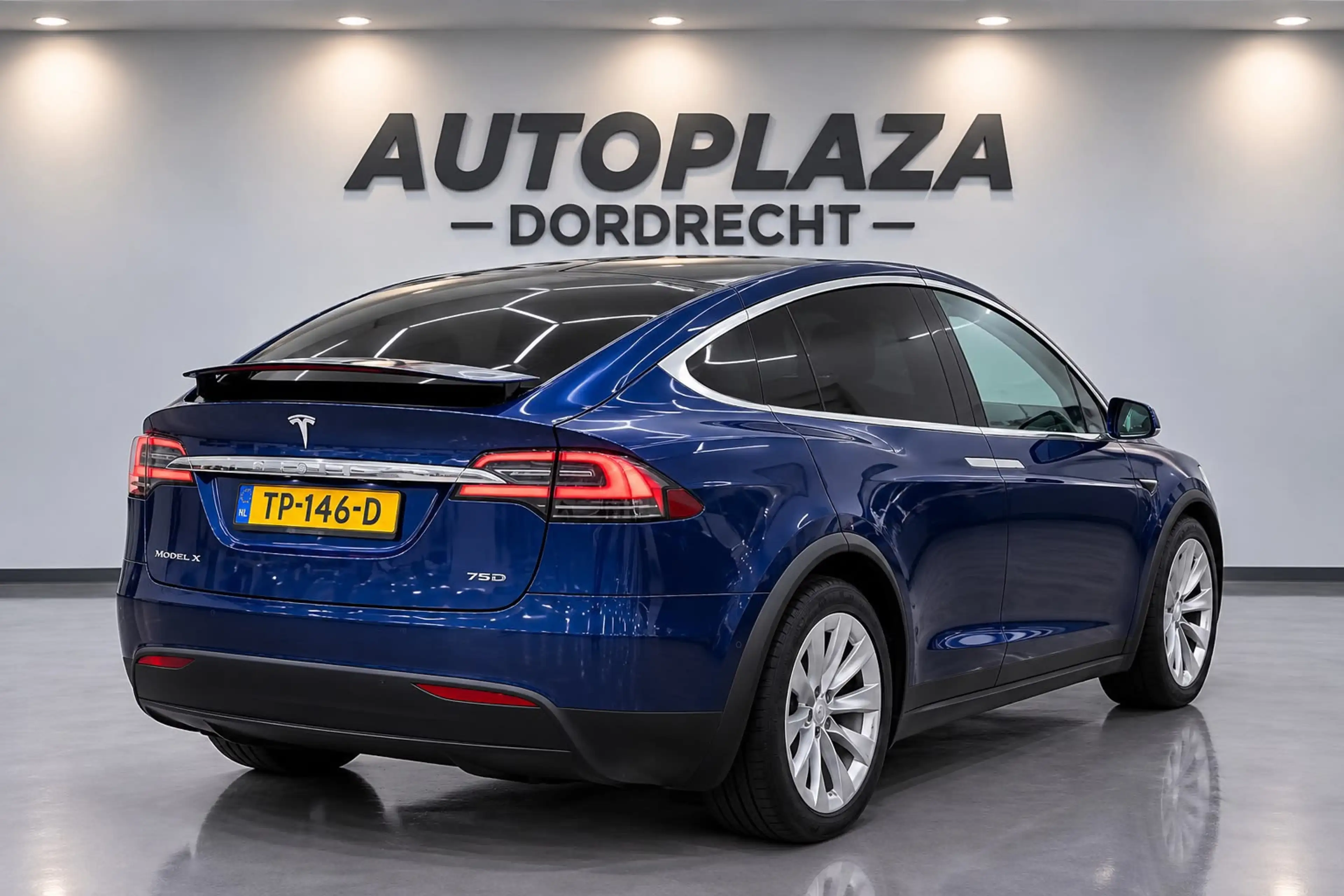 Tesla Model X 75D Base 7p. — photo 4