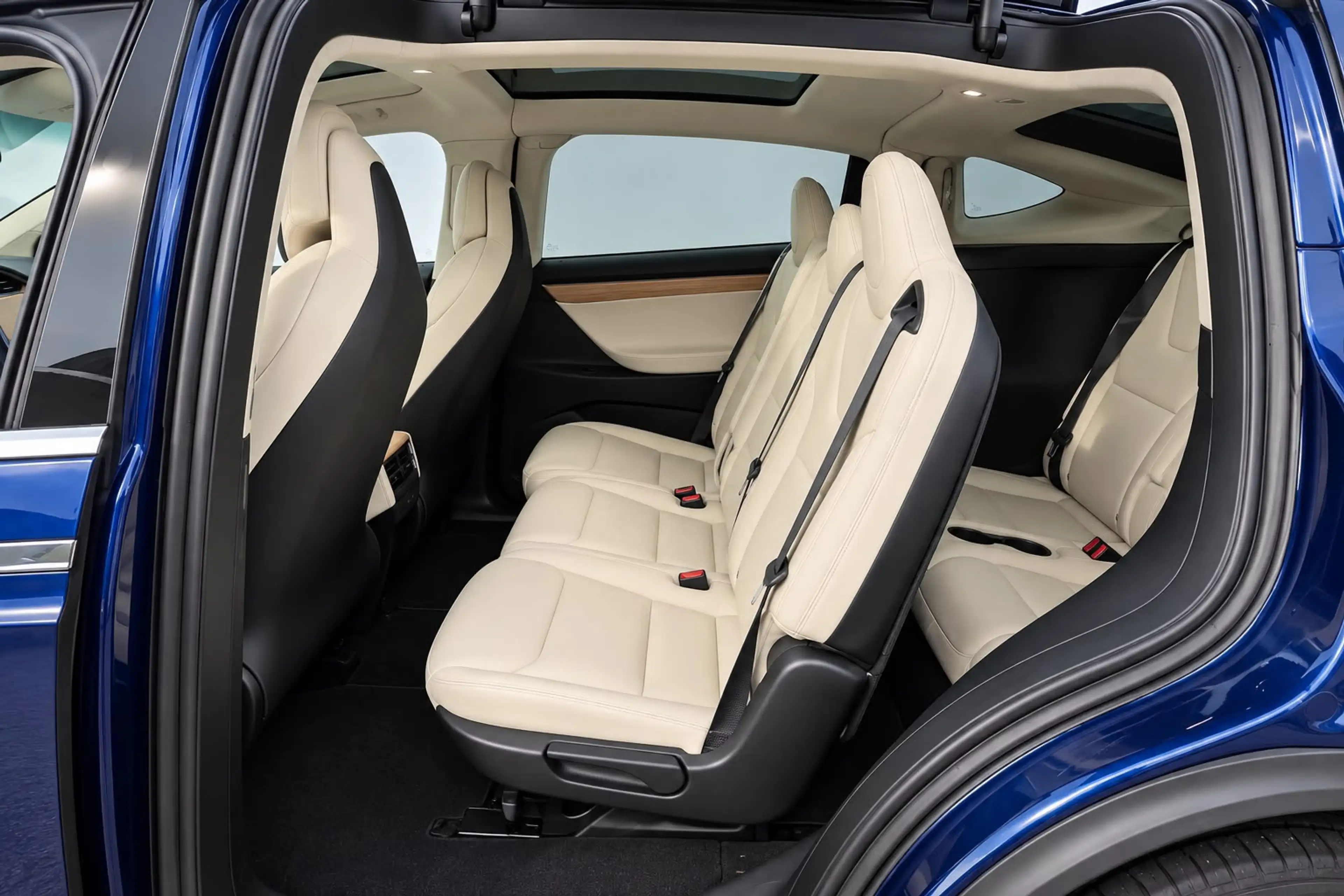 Tesla Model X 75D Base 7p. — photo 12