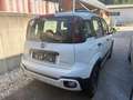 Fiat Panda Panda 1,2 70 Lounge Plus Lounge Plus Weiß - thumbnail 2