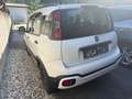 Fiat Panda Panda 1,2 70 Lounge Plus Lounge Plus Weiß - thumbnail 3