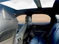 Jaguar F-Pace F-PACE R-Sport AWD*PAN-DACH*LEDER*SERVICE NEU*11 Zwart - thumbnail 12