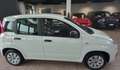 Fiat Panda 1.2 POP Bianco - thumbnail 2