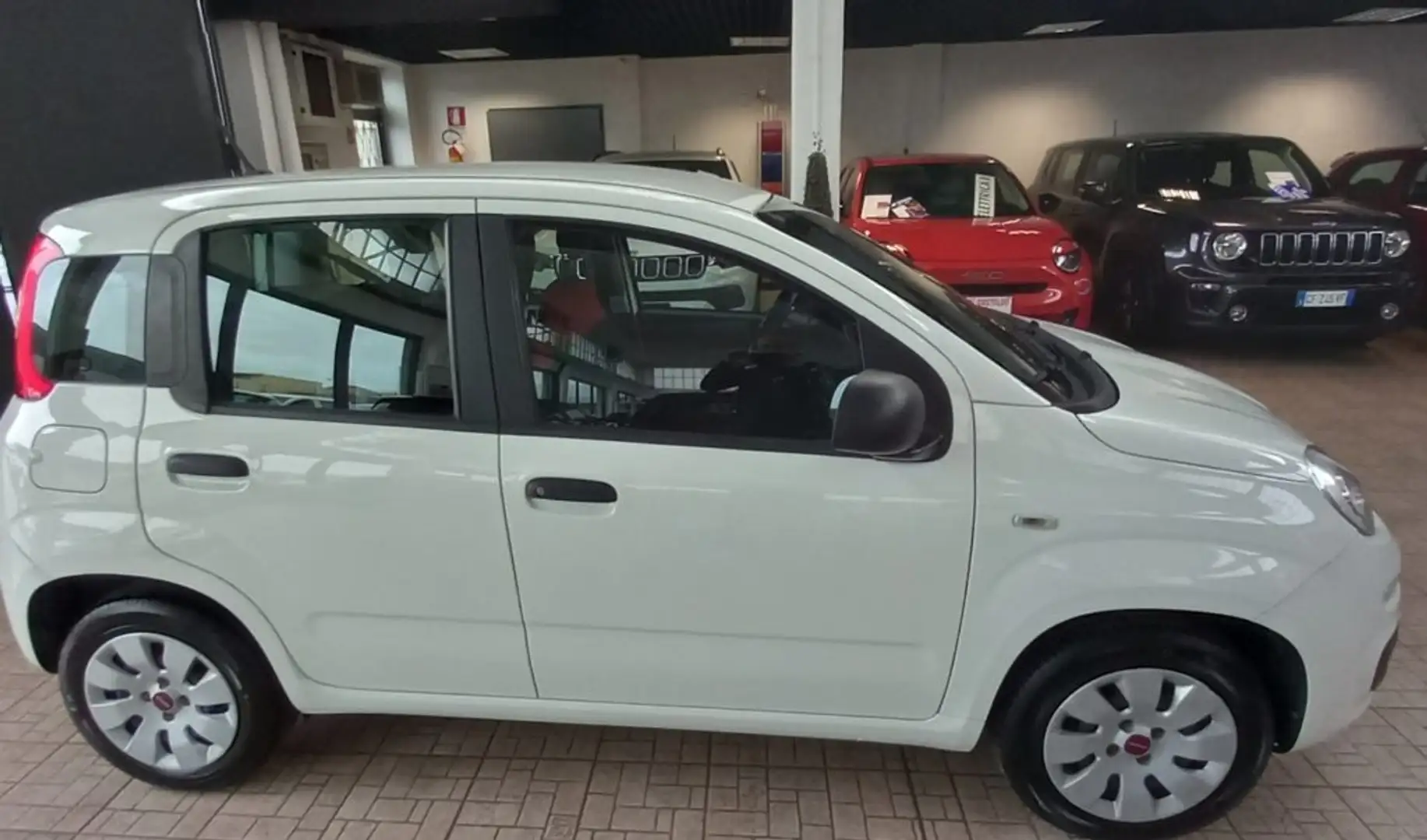 Fiat Panda 1.2 POP Bianco - 2