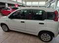 Fiat Panda 1.2 POP Bianco - thumbnail 4