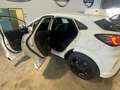 Ford Puma Puma II 2020 1.0 ecoboost h ST-Line X s Bianco - thumbnail 5