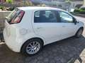 Fiat Punto Grande Punto Weiß - thumbnail 4