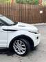 Land Rover Range Rover Evoque 5p 2.2 td4 dynamic 150cv - thumbnail 4