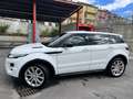 Land Rover Range Rover Evoque 5p 2.2 td4 dynamic 150cv - thumbnail 7