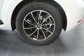 Volkswagen Maggiolino Cabrio 1.2 TSI Design BlueMotion Technology Alb - thumbnail 10