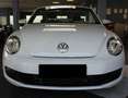 Volkswagen Maggiolino Cabrio 1.2 TSI Design BlueMotion Technology Alb - thumbnail 6