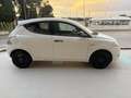 Lancia Ypsilon 1.0 FireFly 5 porte S&S Hybrid Ecochic Silver Bianco - thumbnail 4