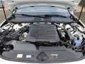 Audi A5 Lim. TDI Q S line 19"|LEDER|PANO|MATRIX Weiß - thumbnail 14