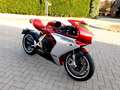 MV Agusta Superveloce 800 S série limitée Oro (kit racing) Rojo - thumbnail 2