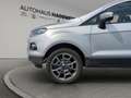 Ford EcoSport Titanium 1.0 Ecoboost Gris - thumbnail 13