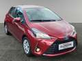 Toyota Yaris YARIS 1,5 HYBRID 5-TG. ACTIVE Rot - thumbnail 7