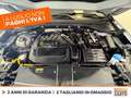 Volkswagen T-Roc 1.5 tsi sport Bianco - thumbnail 12