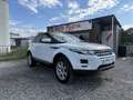 Land Rover Range Rover Evoque Pure Tech 2,2 TD4 Weiß - thumbnail 2