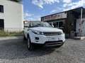 Land Rover Range Rover Evoque Pure Tech 2,2 TD4 Weiß - thumbnail 1