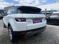Land Rover Range Rover Evoque Pure Tech 2,2 TD4 Weiß - thumbnail 15
