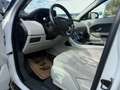 Land Rover Range Rover Evoque Pure Tech 2,2 TD4 Weiß - thumbnail 4