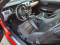 Ford Mustang Mustang Fastback 5.0 Ti-VCT V8 GT Orange - thumbnail 10