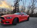 Ford Mustang Mustang Fastback 5.0 Ti-VCT V8 GT Orange - thumbnail 6