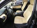 Lexus NX 300h Hybrid 4WD Aut. *MWST*PANO*HUD* Schwarz - thumbnail 11