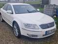 Volkswagen Phaeton Phaeton Diesel 3.0 TDI 4MOTION Automatik 5 Sitzer Weiß - thumbnail 2