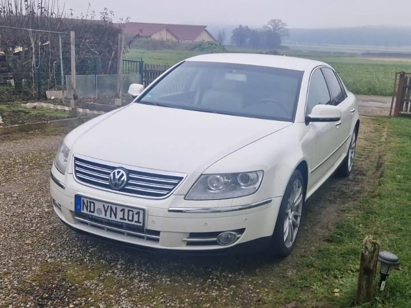 Volkswagen Phaeton Phaeton Diesel 3.0 TDI 4MOTION Automatik 5 Sitzer Weiß - 1