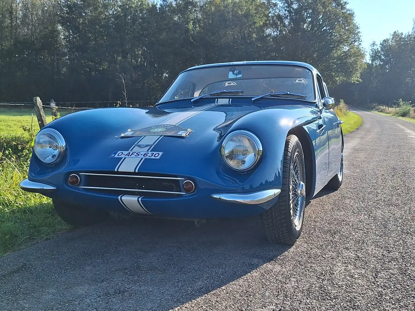 TVR Grantura MK3 - 2